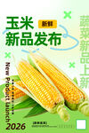 玉米