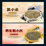 黑小米