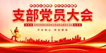 支部党员大会