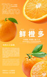 水果海报设计