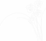 简约花卉线条装饰图案