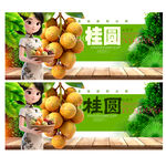 桂圆