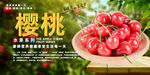 樱桃
