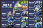 蓝莓图片