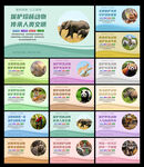 保护野生动物