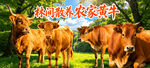 黄牛海报