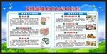 夏季健康教育知识宣传栏