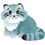 兔狲猫咪可爱动物卡通插画