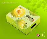 李子包装 蜂糖李礼盒