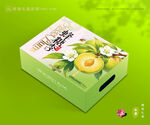 李子包装 蜂糖李礼盒