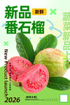 番石榴