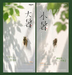 小暑大暑蝉鸣树荫海报