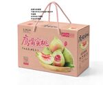 鹰嘴桃手提礼盒包装