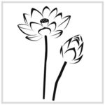 荷花矢量图