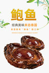 鲍鱼