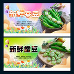 蚕豆