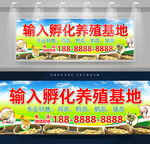 孵化招牌设计