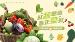 蔬菜海报