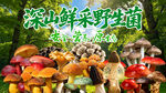 野生菌广告 