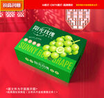 葡萄包装 阳光玫瑰礼盒