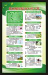 森林脑炎防治问答海报