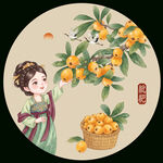 枇杷