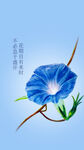 蓝色牵牛花插画海报社会