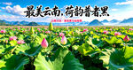 荷花节