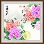 花开富贵