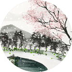 雪中绽放的烂漫樱花树