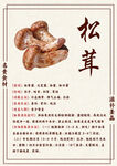 美味松茸介绍