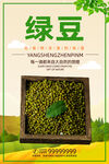 绿豆