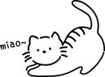 猫咪