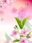 浪漫粉色樱花花卉背景