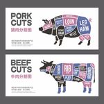 猪肉 牛肉分割图