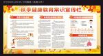 秋季健康教育常识宣传栏