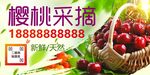 樱桃采摘活动海报尽享自然美味