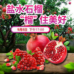 盐水石榴
