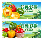 彩椒