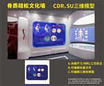 骨质疏松文化
