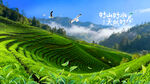 茶山风景画