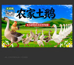 农家土鹅