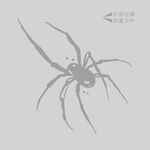 蜘蛛插画