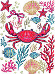 海洋生物插画图案