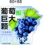葡萄巨大颗