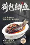 荷包鲫鱼 