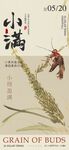小满海报