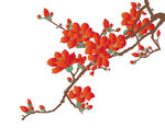 广州市木棉花