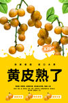 黄皮果