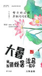 大暑时节荷花绽放景象